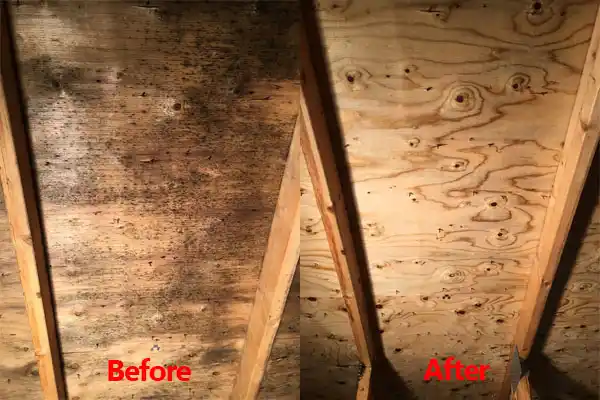 water damage restoration service McArthur